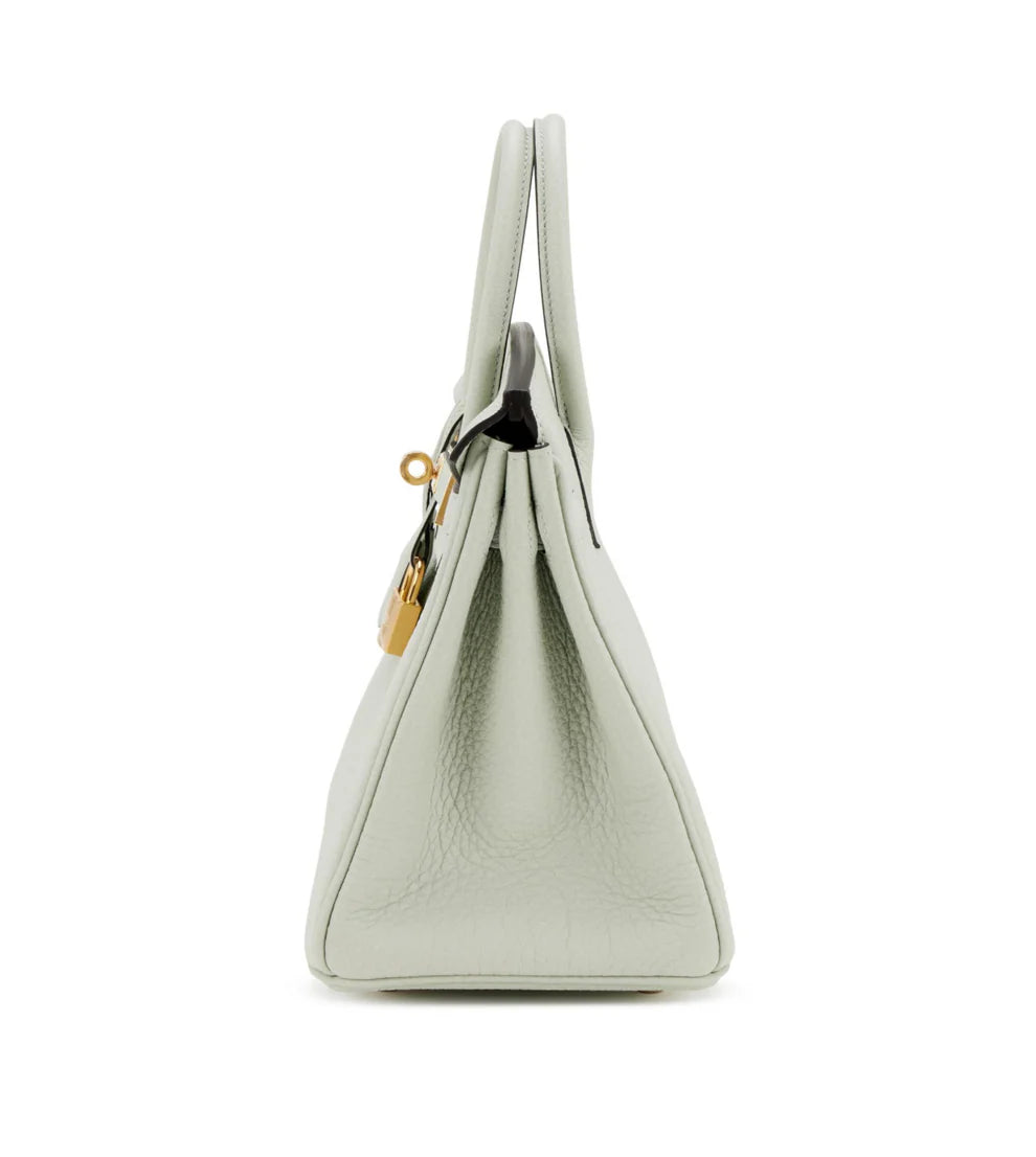 Hermes Birkin 25 Gris Neve Togo Gold Hardware
