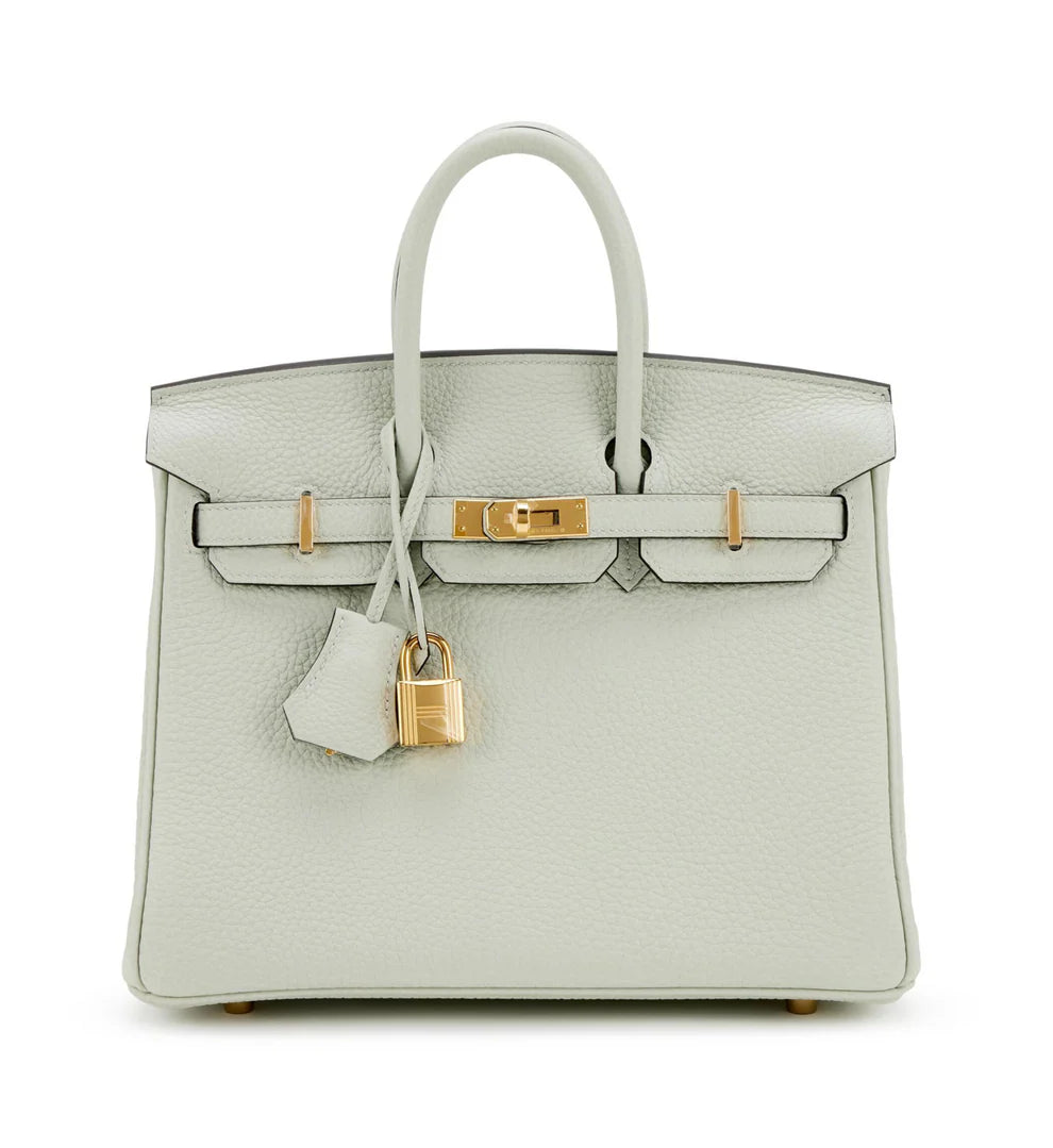 Hermes Birkin 25 Gris Neve Togo Gold Hardware